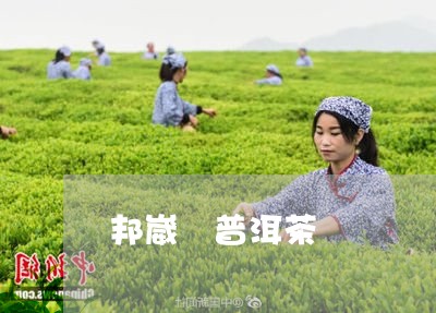 邦崴 普洱茶/2023042702887